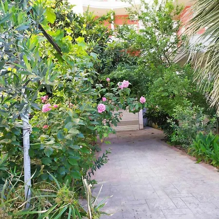 Апартаменты Valbona Влёра