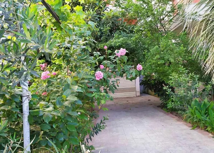 Appartamento Valbona Vlorë